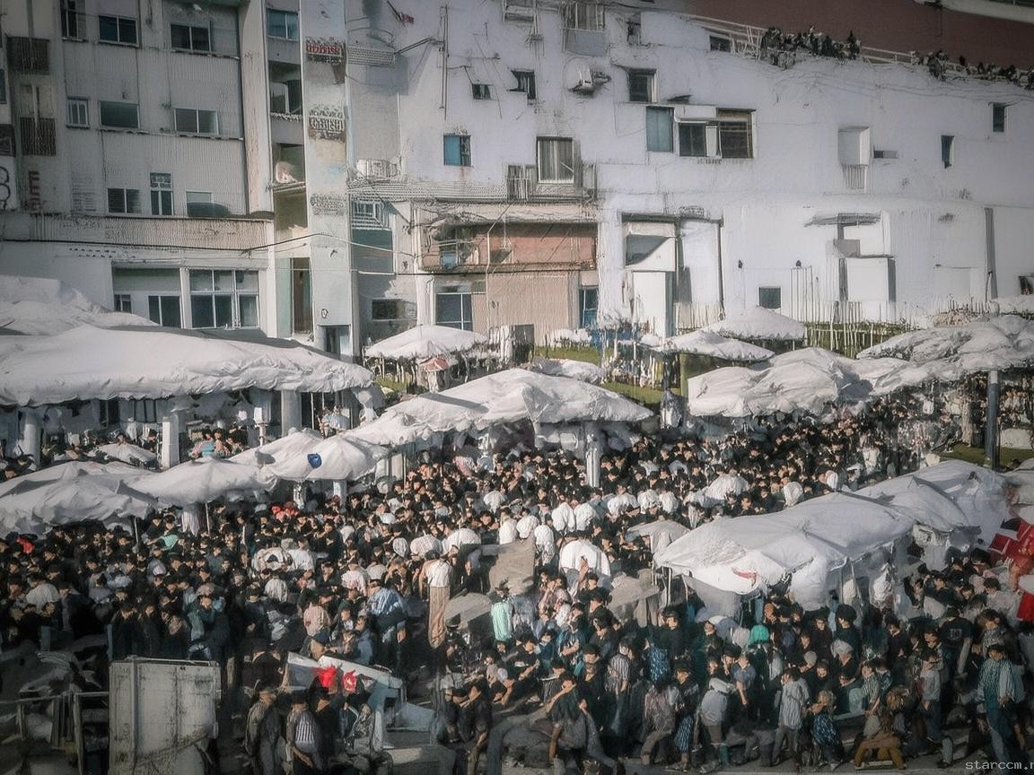 清华回应中学生登珠峰能否保送：透视教育公平与特长选拔的平衡之道